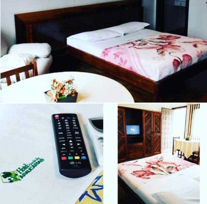Hotel Pousada Das Araucarias Rio Negrinho Dış mekan fotoğraf